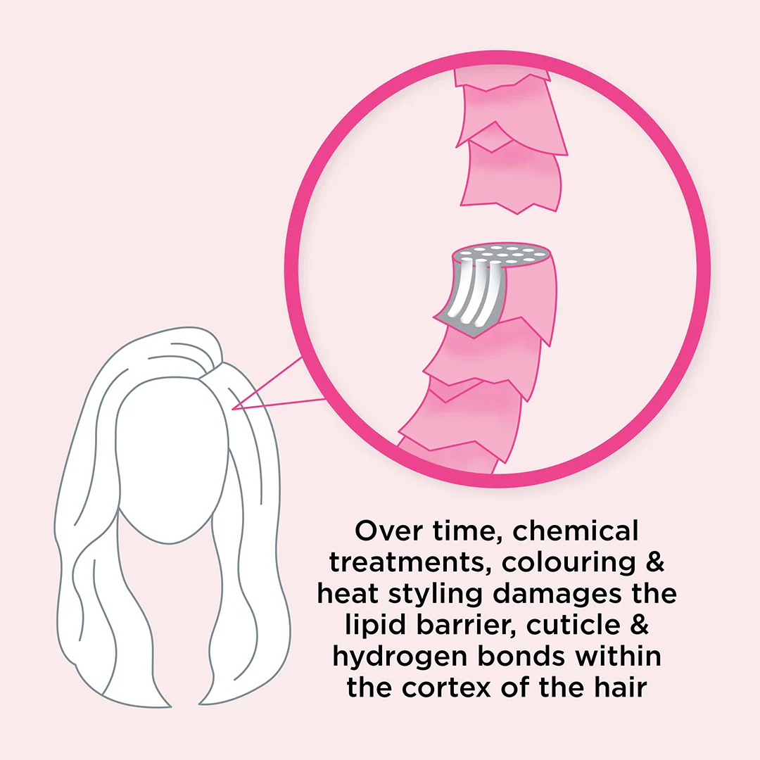 Let's Bond Shampoo & Conditioner Duo - Image 8